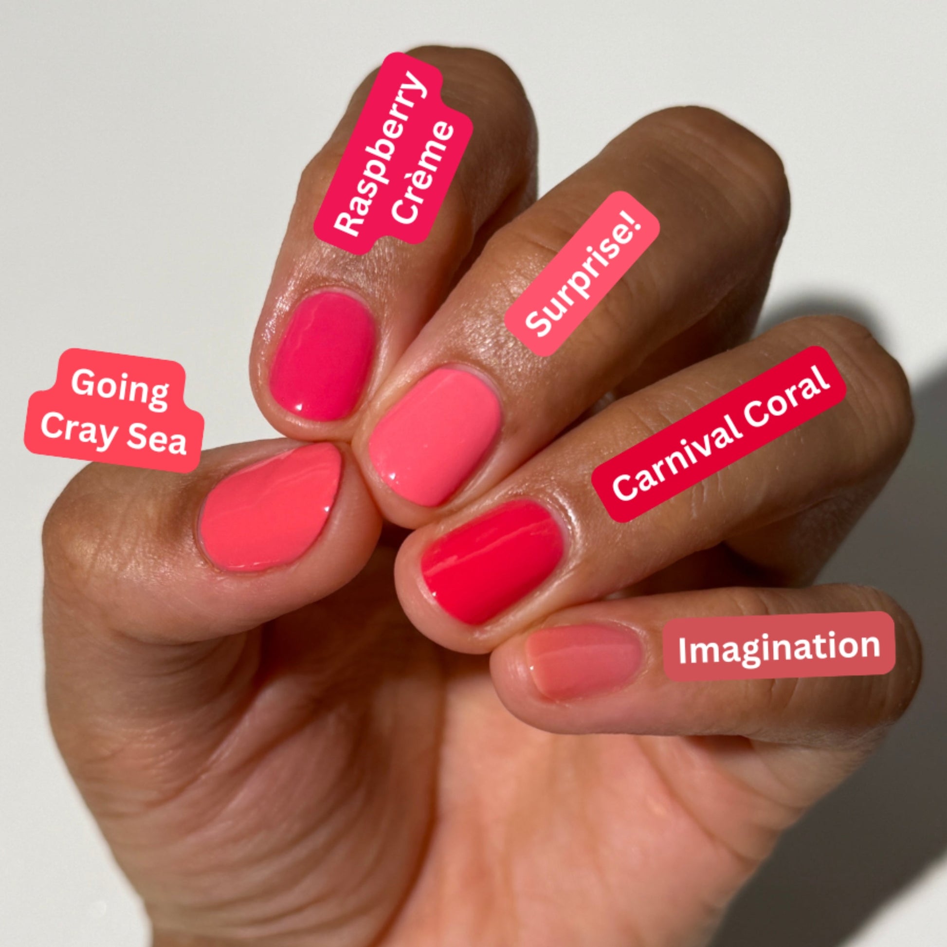 A close-up of a hand displaying five different nail polish colors with handwritten-style labels pointing to each shade: Going Cray Sea, Raspberry Crème, Surprise!, Carnival Coral, and Imagination.