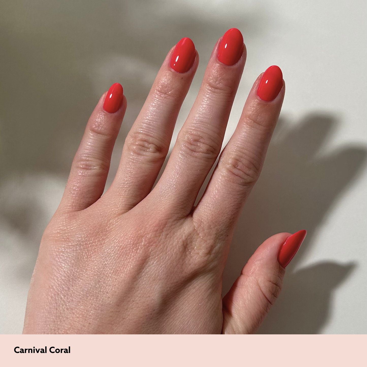 Carnival Coral Mini Kit