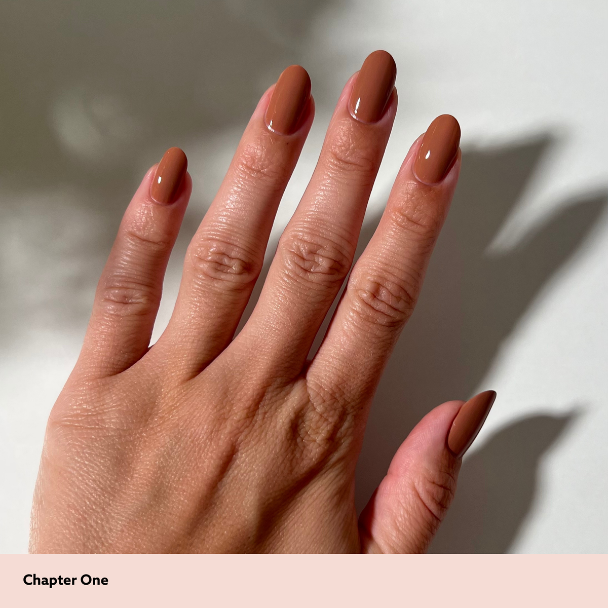 A close-up of a hand with long, almond-shaped nails painted in a glossy warm brown shade, set against a soft light background with artistic shadows. A pale pink banner at the bottom contains the text 'Chapter One'.