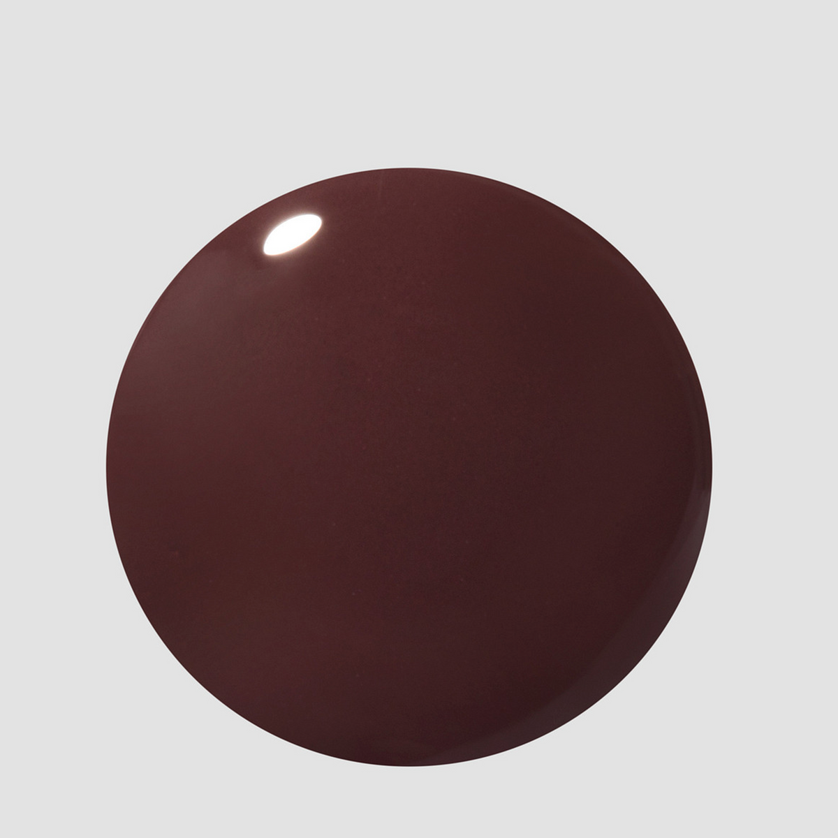 Rum Raisin Lacquer Color Swatch Dot