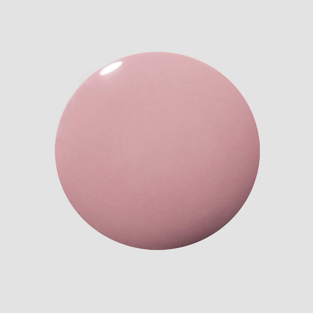 Visionary Lacquer Color Swatch Dot